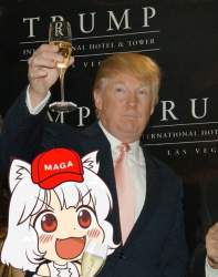 80717 B