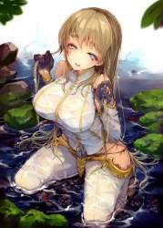 1558294 B