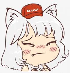 43554 B