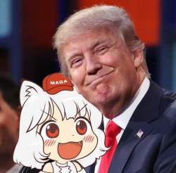 55795 B