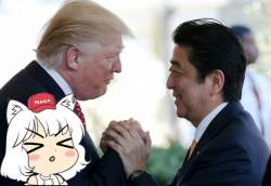 295447 B