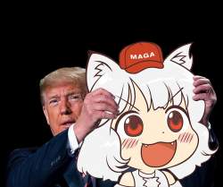 84089 B