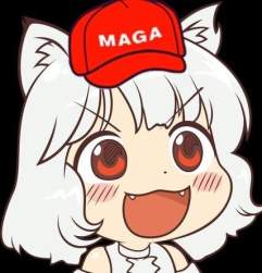 33973 B