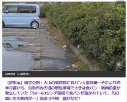 608311 B