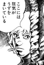 46079 B