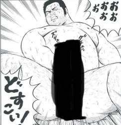 81153 B