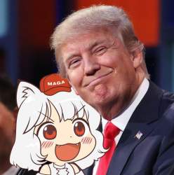 85775 B