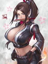1135585 B