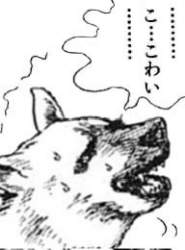 10344 B
