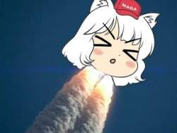 22072 B