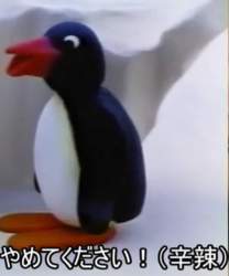 260144 B