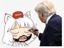 13876 B