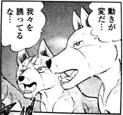 94577 B