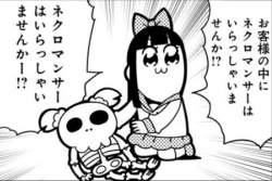 49351 B