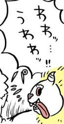 26593 B