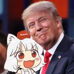 87157 B