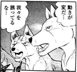 84294 B