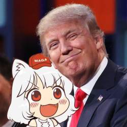 85532 B