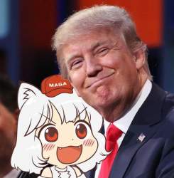 87144 B
