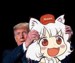84179 B