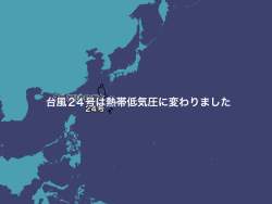 45588 B