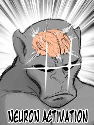 207039 B